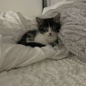 Meet your Posher, Luv